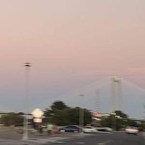 Meet your Posher, Brook!